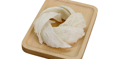  Real vs. Fake Bird’s Nests: How to Tell the Difference