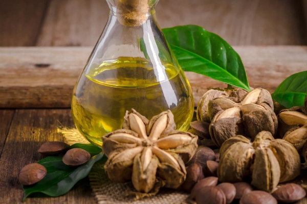 Everyone Is Eating Sacha Inchi to Lower "3-Highs"? The "Plant Brain Gold" Purer Than Fish Oil, These 5 Groups Need It Most