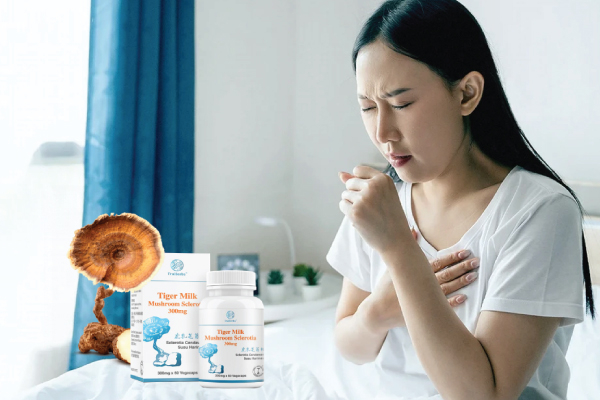 Sering Selsema atau Batuk Terus Menerus? Paru-paru Anda Mungkin Sedang Menghantar Isyarat Bahaya, Sokongan Pernafasan Semula Jadi dengan Tiger Milk Mushroom