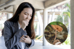 How Tiger Milk Mushroom Boosts Immunity & Lung Health