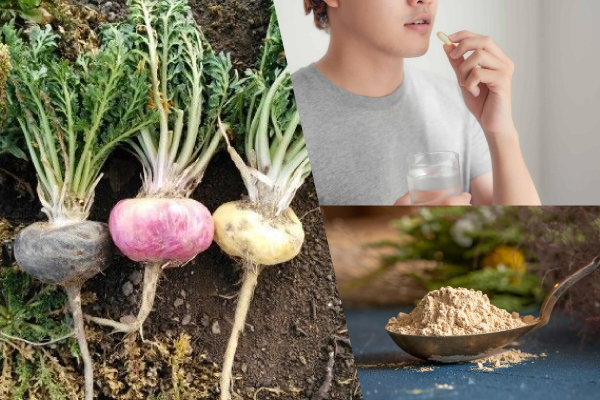 Bagaimana Cara Makan Maca? Siapa yang Sesuai untuk Mengambilnya?