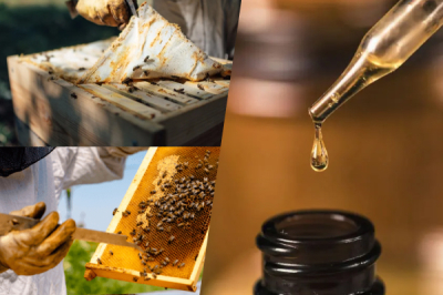 Cara Makan Propolis? 6 Cara Betul Mengambil Propolis | Bai Zi Gui