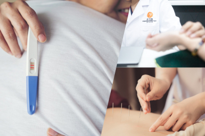 Bagaimana Perubatan Tradisional Cina dan Akupunktur Dapat Meningkatkan Kadar Kejayaan IVF: Panduan Komprehensif