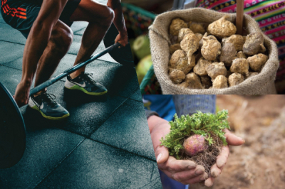Maca Booster for Gym Performance: Does It Help?