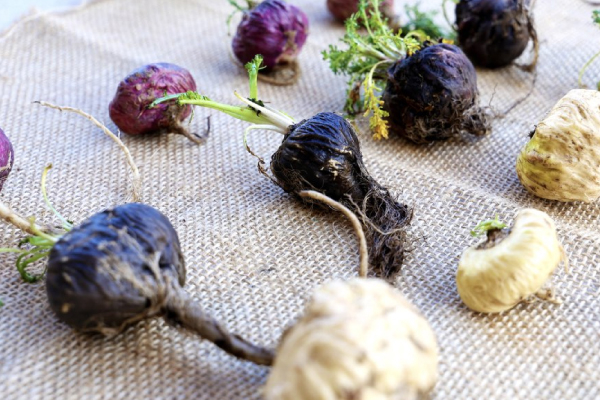 Maca Booster untuk Lelaki | Bagaimana Ia Meningkatkan Stamina & Prestasi