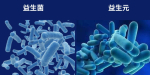 Probiotik dan Prebiotik: Apa Bezanya?