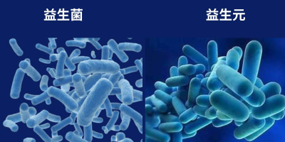 Probiotics and Prebiotics: What's the Difference?