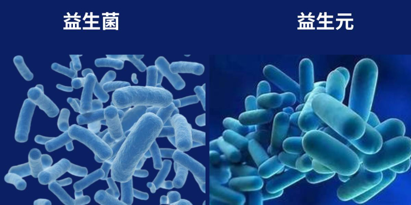 Probiotik dan Prebiotik: Apa Bezanya?