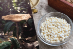 Tiger Milk Mushroom vs Chuan Bei: Which Is Better for Chronic Cough and Lung Weakness?