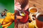 Unlocking the Power of Honey Combinations | Health Benefits Revealed I Bai Zi Gui