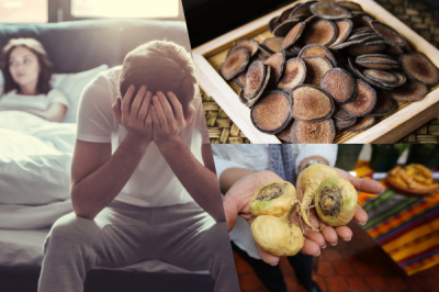 Apa yang Perlu Dimakan untuk Mengatasi Masalah 'Tidak Tegak'? Cadangan Makanan Afrodisiak Mengikut Perubatan Tradisional Cina (TCM)