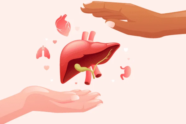 Apa Makanan Terbaik untuk Kesihatan Hati? Kenal Glutathione dan Tingkatkan Fungsi Hati Secara Semula Jadi