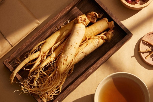 Which Ginseng Is Right for You? A Comprehensive Guide to 4 Types and Matching Body Constitutions