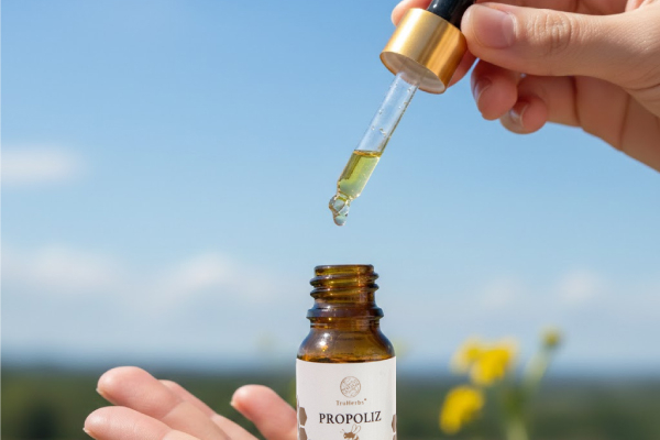 The Immunity Shield in Malaysia: Why Propolis is the Essential Companion for Your Local Lifestyle
