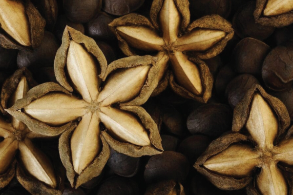 Atasi Kebas dan Jaga Kesihatan Jantung: Kenali Sacha Inchi Sebagai Superfood Semula Jadi